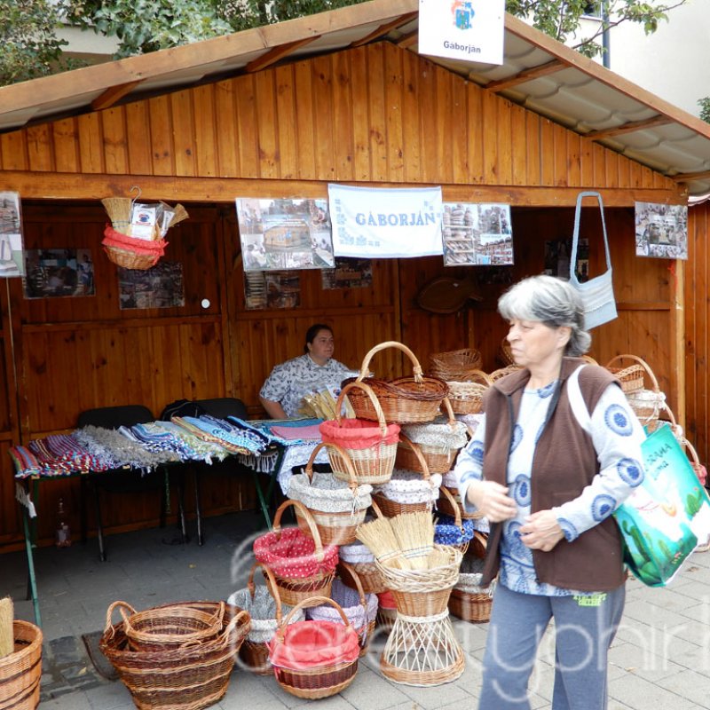Helyi Értékek Startja 27